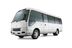 minibuscoaster